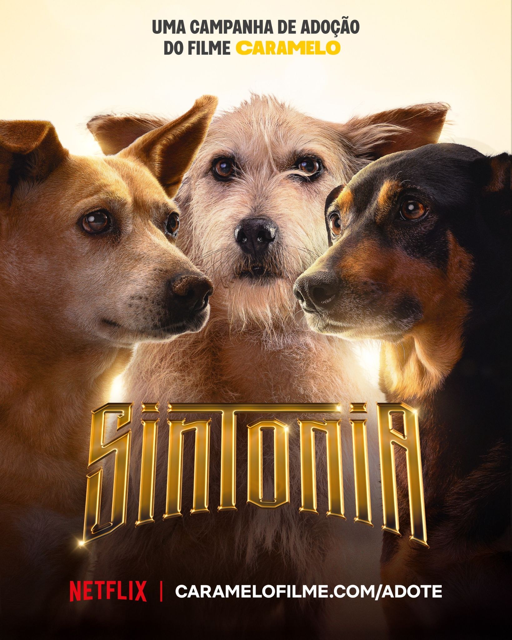 Caramelo adoption poster parodying "Sintonia": three mixed-breed dogs face each other above a gold title logo