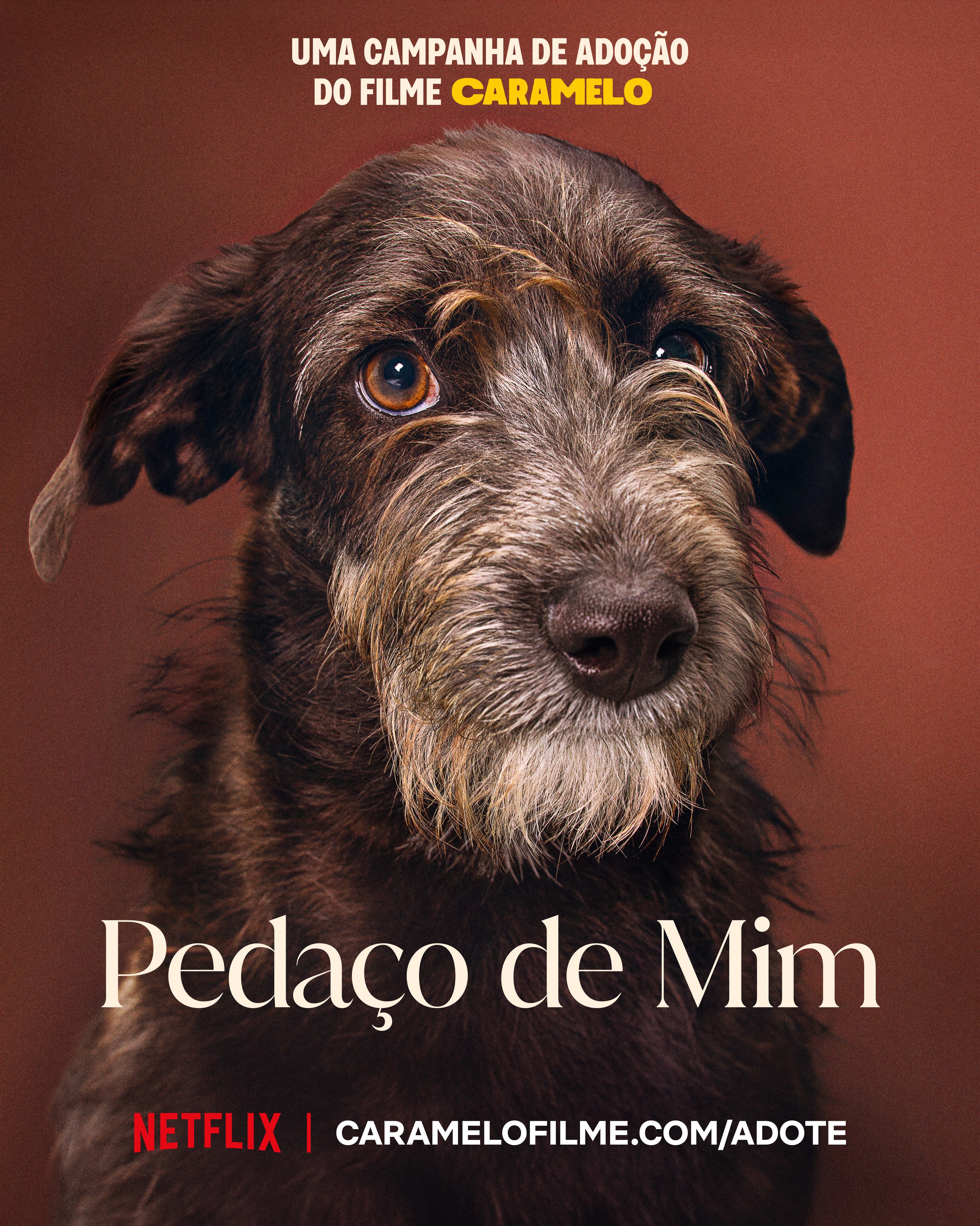 Caramelo adoption poster parodying "Pedaço de Mim": close portrait of a shaggy dark gray dog on a rust background