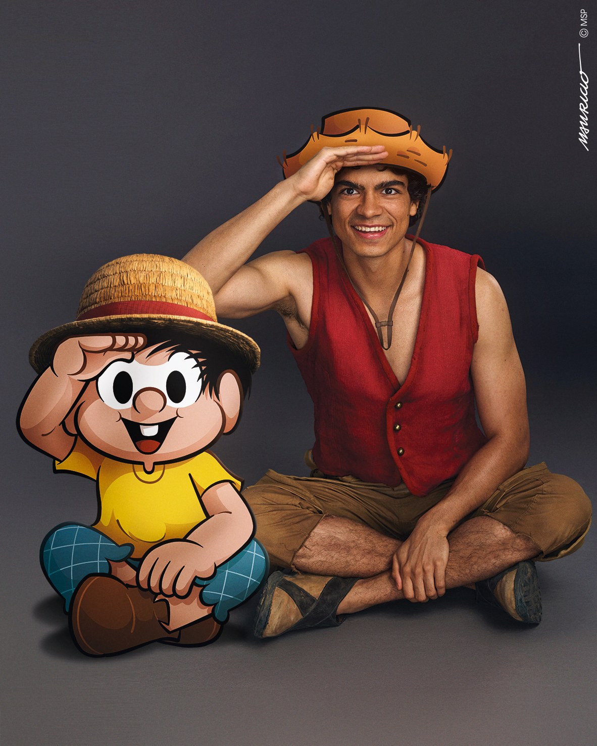 One Piece: The Straw Hat Swap